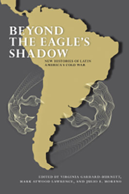 Beyond the Eagle's Shadow book cover