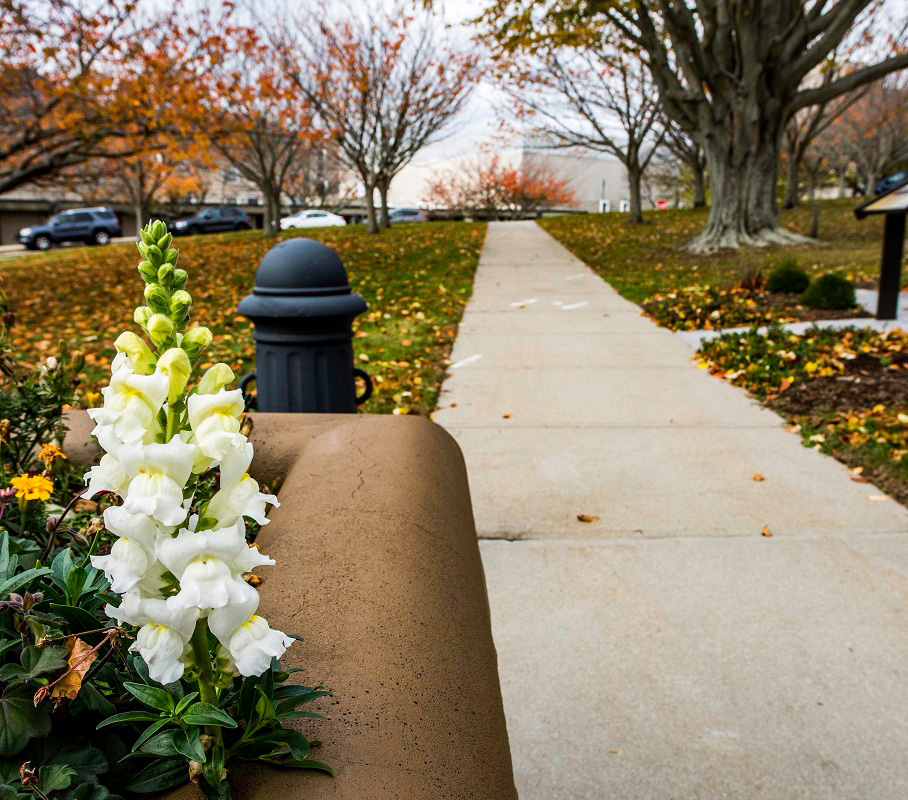 JPME Phase I and Master’s Degree